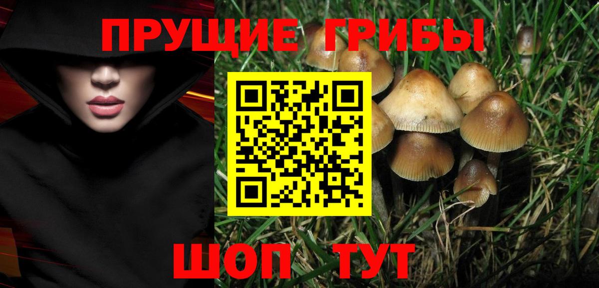 Березники  Галлюциногенные грибы ЛСД  Вход с VPN 