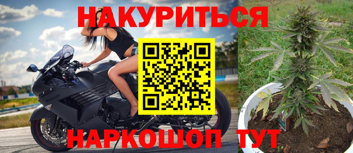 Бошки Шишки семена Березники